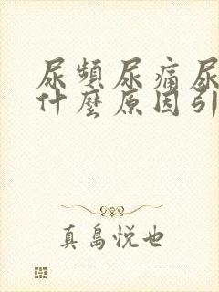 尿频尿痛尿不尽什么原因引起的