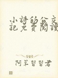 小诗的公交车日记免费阅读
