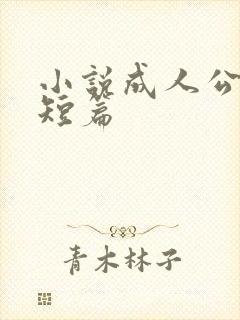小说成人公交车短篇