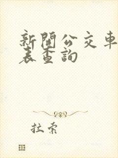 新开公交车时刻表查询