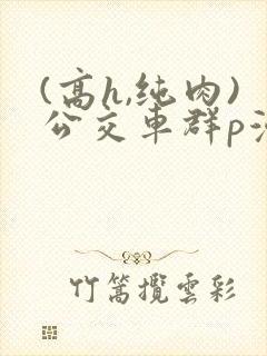 (高h,纯肉)公交车群p漫画