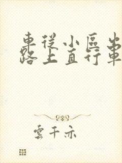 车从小区出来与路上直行车辆碰撞怎么定责