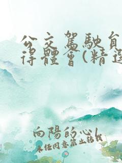 公交驾驶员的心得体会(精选6篇)