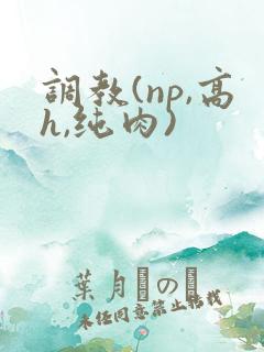 调教(np,高h,纯肉)