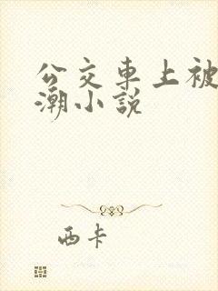 公交车上被插高潮小说