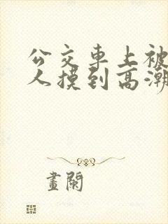公交车上被陌生人摸到高潮