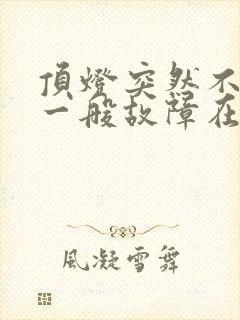 顶灯突然不亮了一般故障在哪
