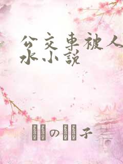 公交车被人摸出水小说