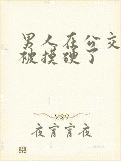 男人在公交车上被摸硬了