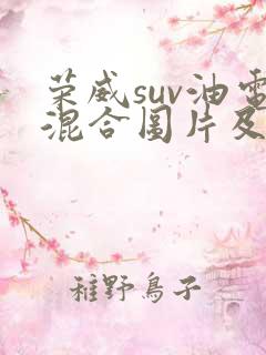 荣威suv油电混合图片及报价