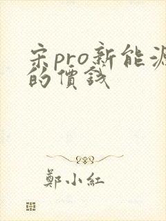 宋pro新能源的价钱