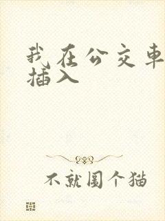 我在公交车上被插入