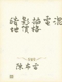 皓影插电混动落地价格