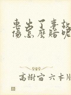 车出了事故人受伤怎么赔呢