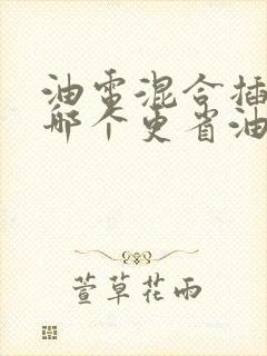 油电混合插电混哪个更省油