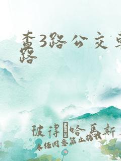 查3路公交车线路