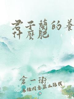 君子兰的养殖用什么肥