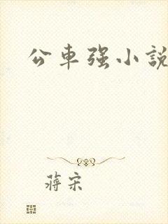 公车强小说