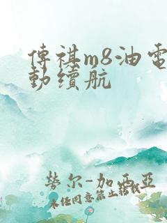传祺m8油电混动续航