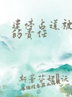 违停占道被撞谁的责任