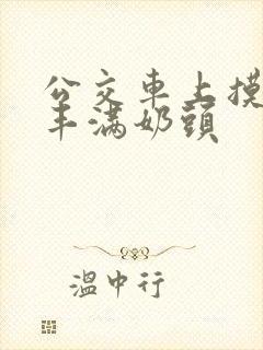公交车上摸少妇丰满奶头