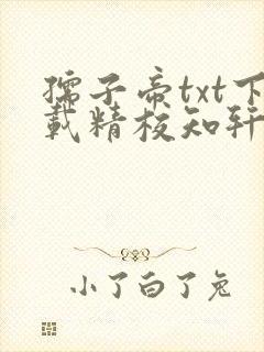 孺子帝txt下载精校知轩