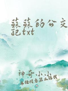 苏苏的公交车日记txt