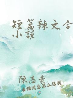 短篇辣文合集的小说