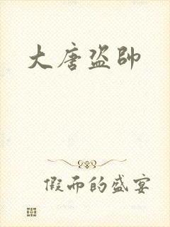 大唐盗帅