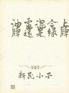 油电混合上的蓝牌还是绿牌