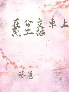 在公交车上被农民工插