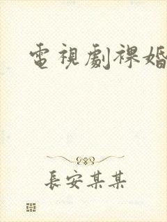 电视剧裸婚时代