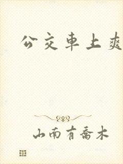公交车上爽英子