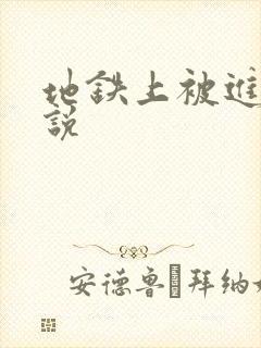地铁上被进入小说