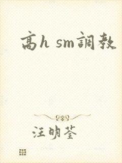 高h sm调教
