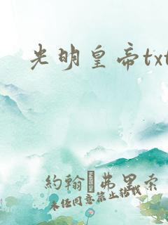 光明皇帝txt