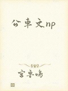公车文np