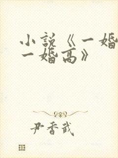 小说《一婚更比一婚高》