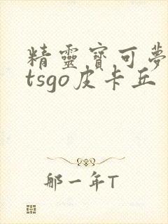 精灵宝可梦letsgo皮卡丘