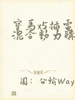 宝马x5插电式混合动力购置税