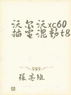 沃尔沃xc60插电混动t8价格