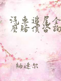 汽车追尾全责怎么赔偿咨询