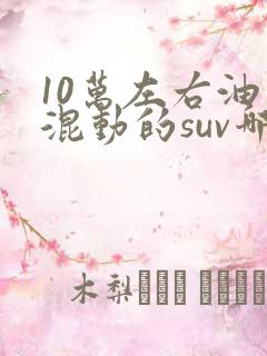 10万左右油电混动的suv哪款好