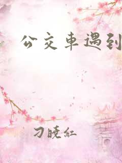 公交车遇到公公