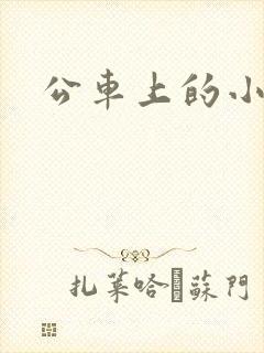 公车上的小说