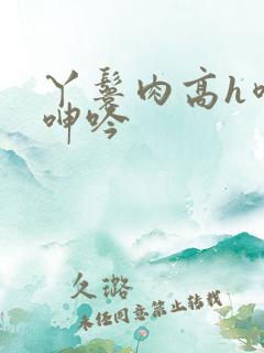 丫鬟肉高h喷汁呻吟