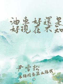 油车好还是电车好现在不知道买什么车