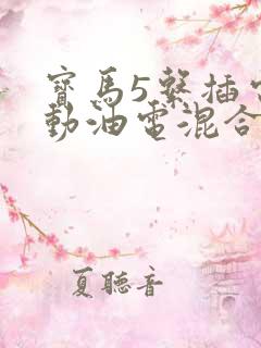 宝马5系插电混动油电混合怎么样