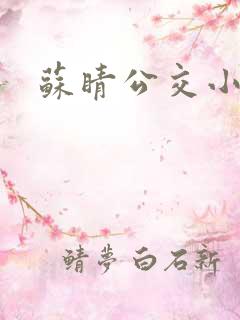 苏睛公交小说