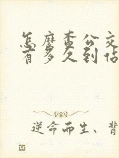 怎么查公交车还有多久到站